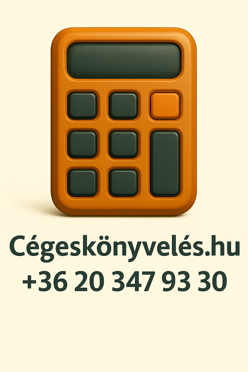 Cégeskönyvelés „Fiatalos, közvetlen, rugalmas csapat. Megbízhatóság és precizitás felsőfokon.”
