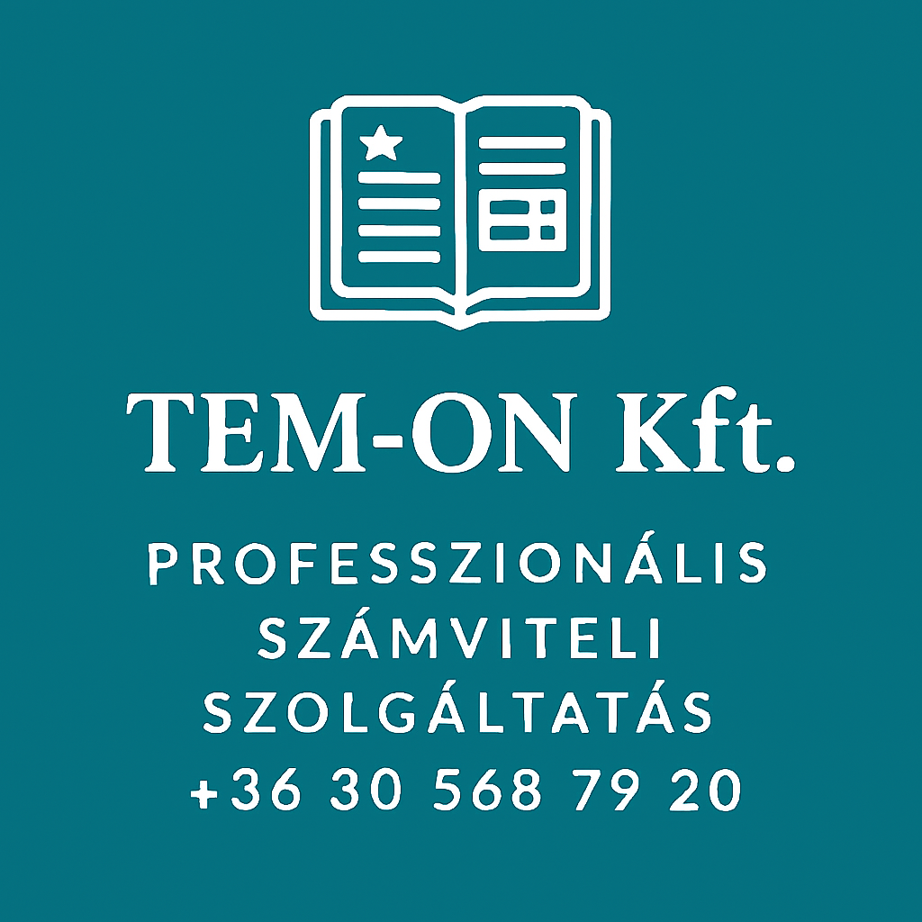 TEM-on Accounting & Tax Advising Services - Budapest - V. kerület