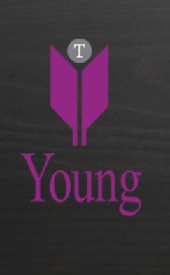 Young Consulting Kft.